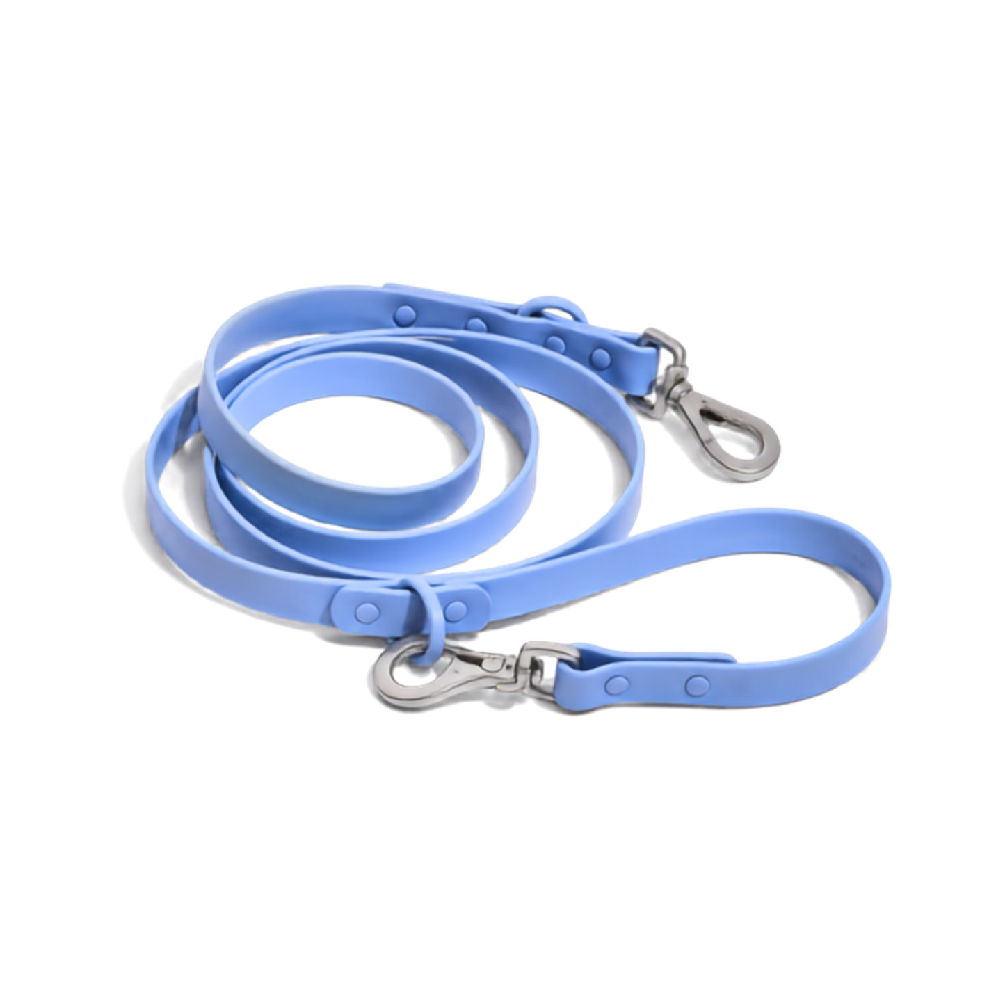 Biothane Leash Blue