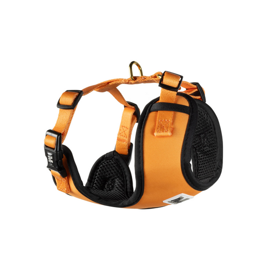 Harnas | Orange