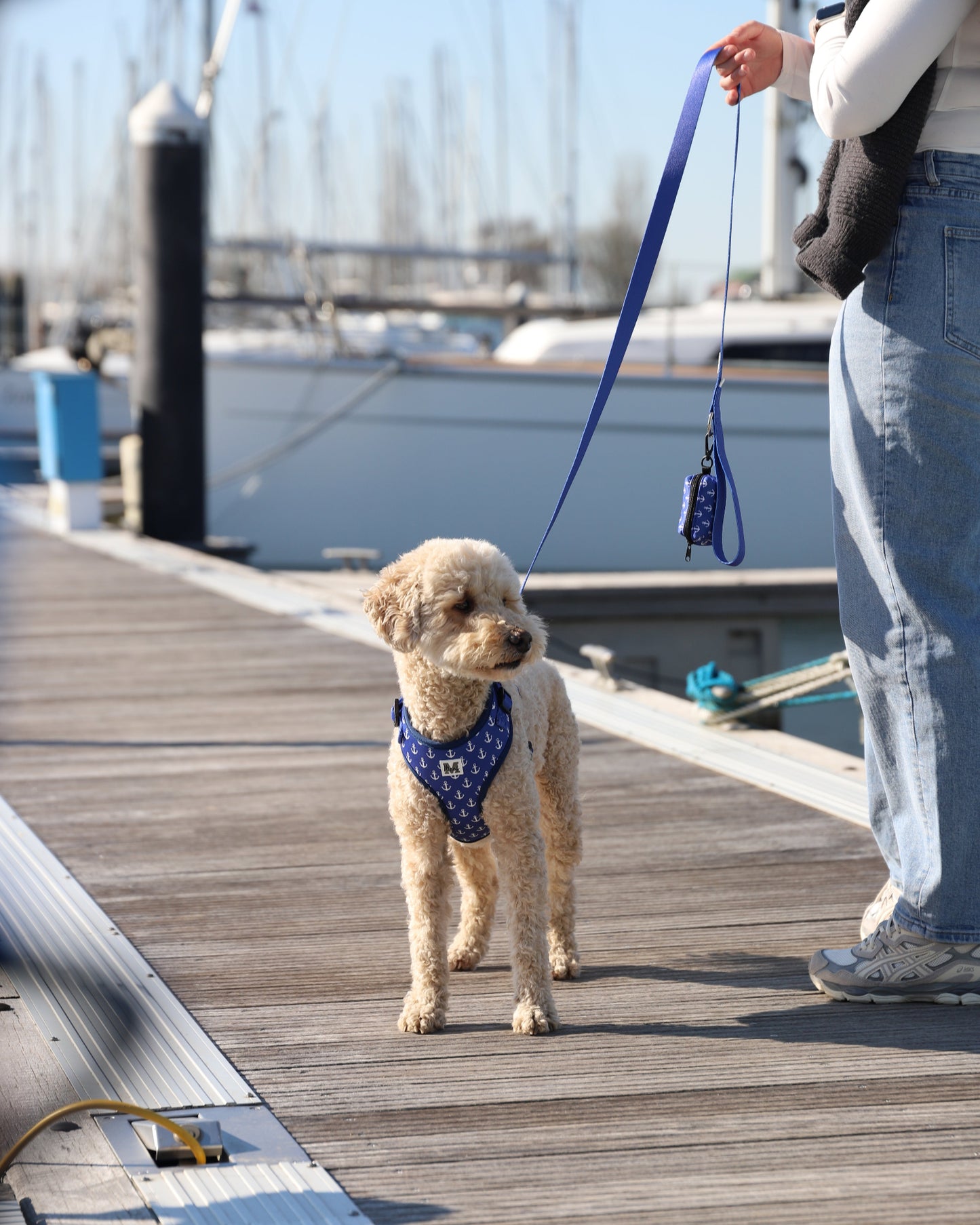 Leash | Blue
