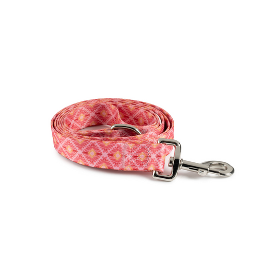 Leash | Ibiza