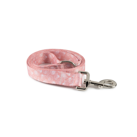 Leash | Shells